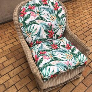 Cane Chair Upholstered Cushions